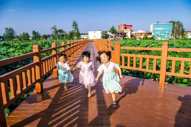 美图出炉,邀您云游阜阳市!